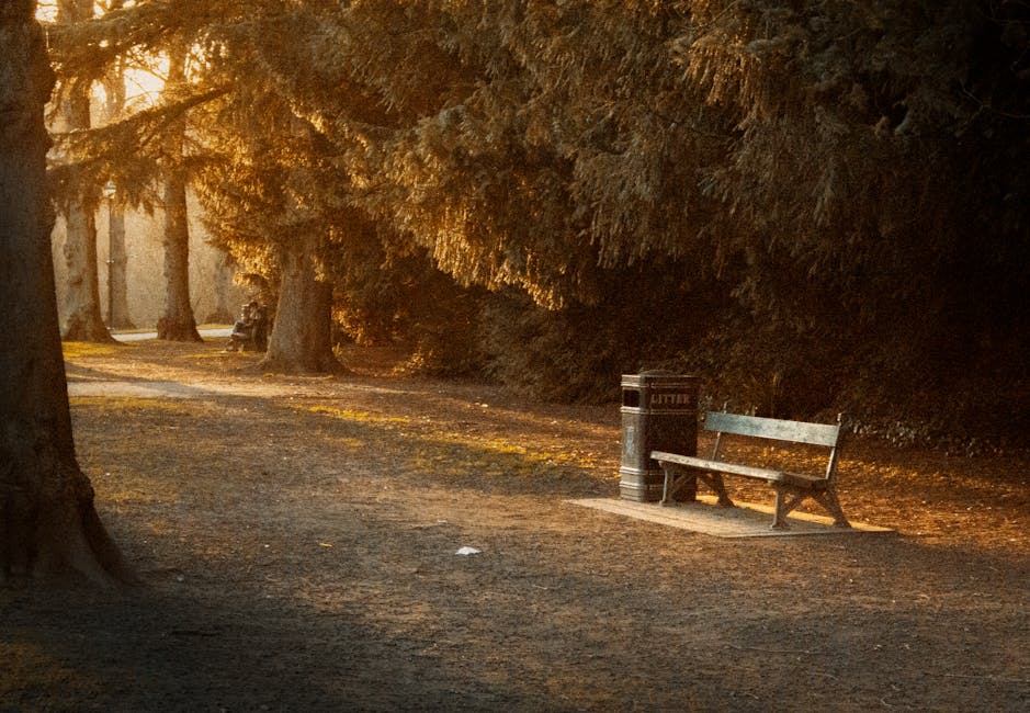 A quiet park scene during late afternoon or early evening, showcasing a paved pathway shaded by large, mature trees with textured, dark brown bark and dense, leafy canopies. The pathway is lined with